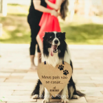 Placa Personalizada em MDF - Imagem 3